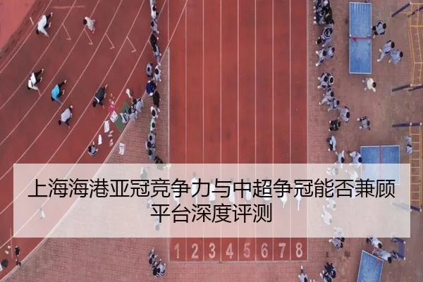 shang-hai-hai-gang-ya-guan-jing-zheng-li-yu-zhong-chao-zheng-guan-neng-fou-jian-gu-ping-tai-shen-du-ping-ce-3-879.jpg